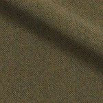 Herringbone Moss