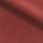 Amalfi Coral