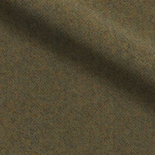 Herringbone Moss